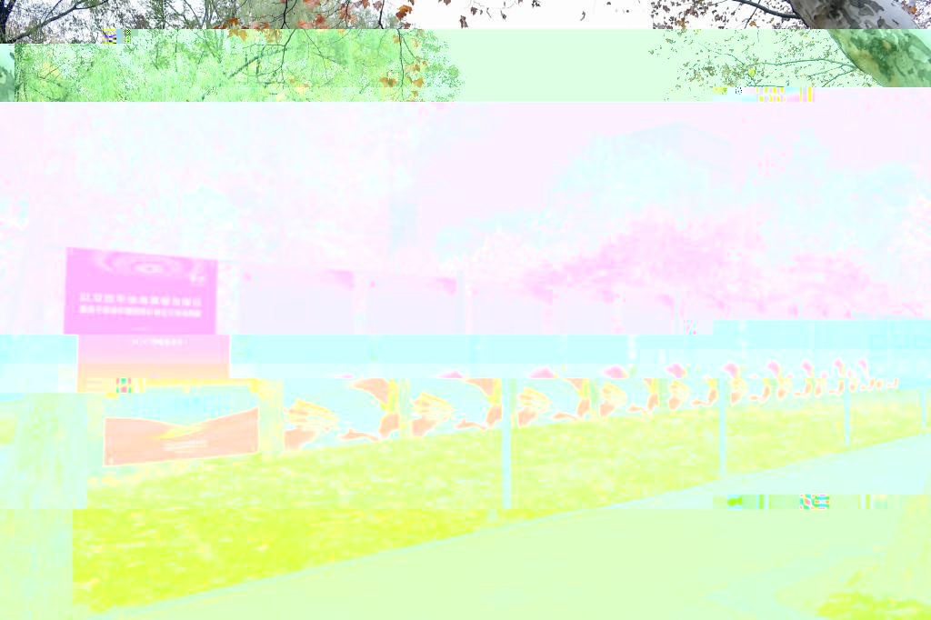 2F4EB
