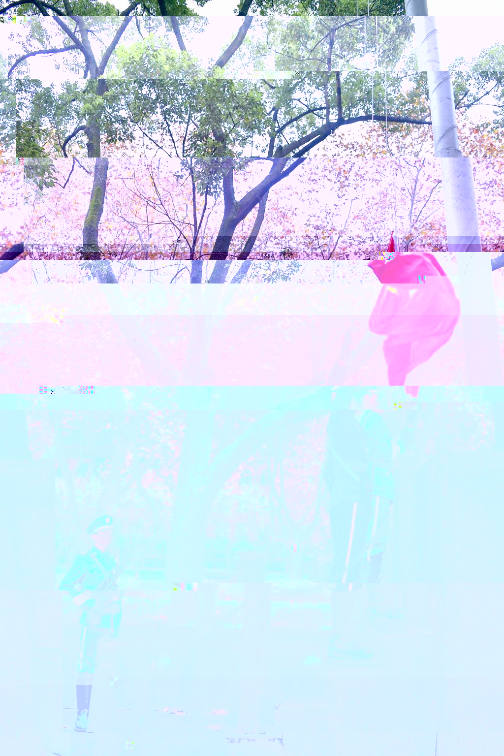 78D25